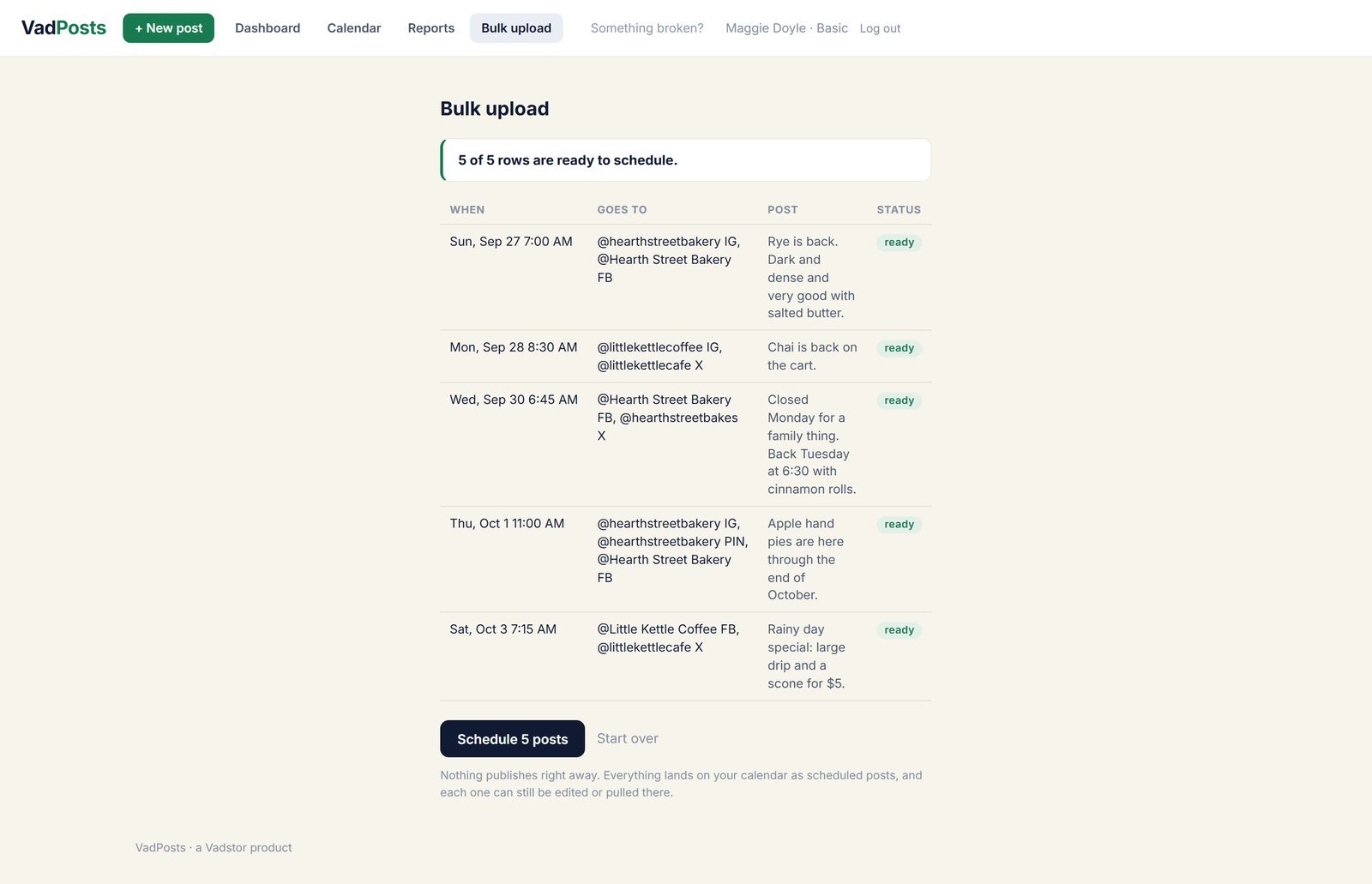 Bulk upload preview listing five posts from a spreadsheet, each marked ready, with a Schedule 5 posts button
